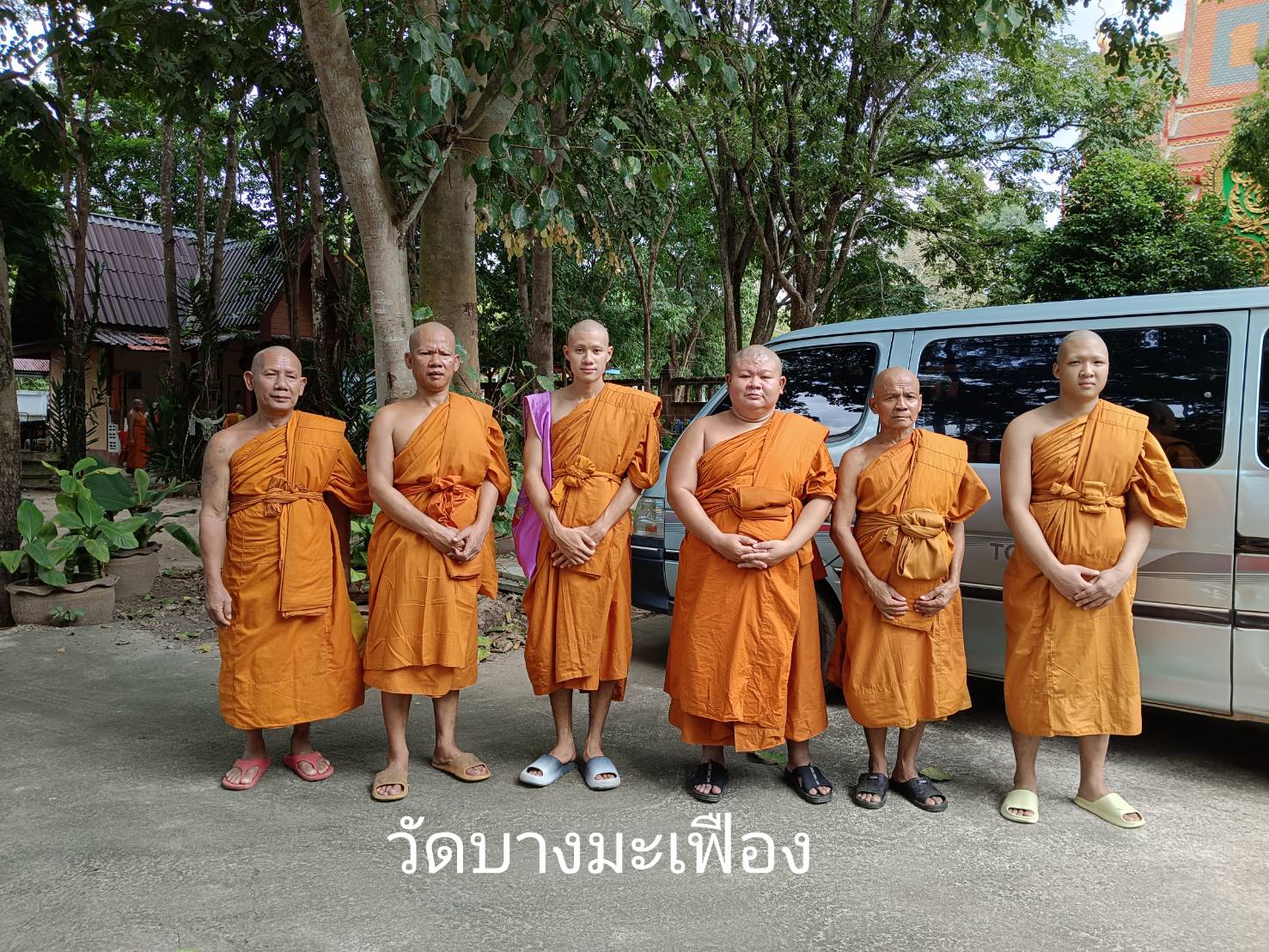 วัดบางมะเฟือง