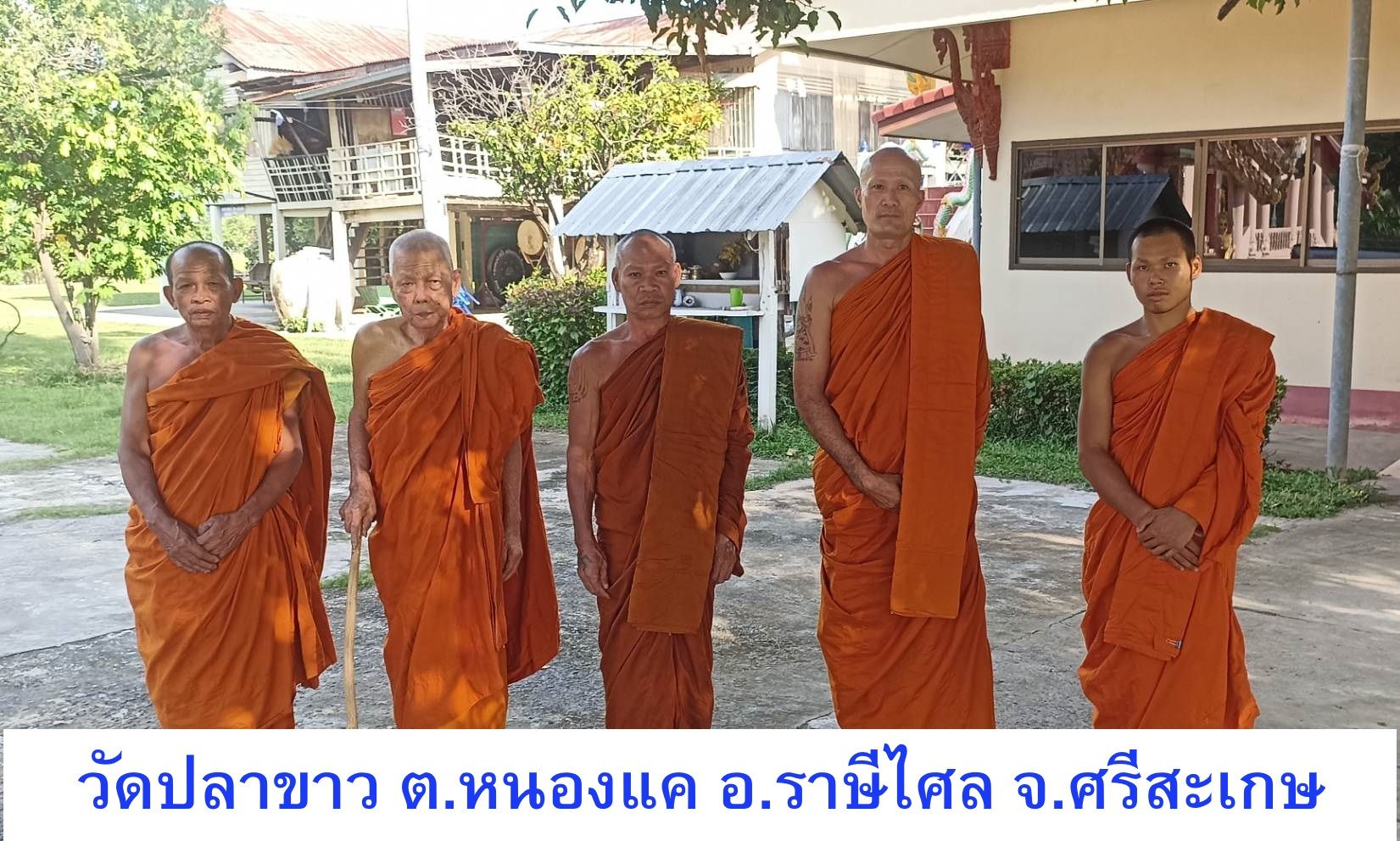 วัดปลาขาว