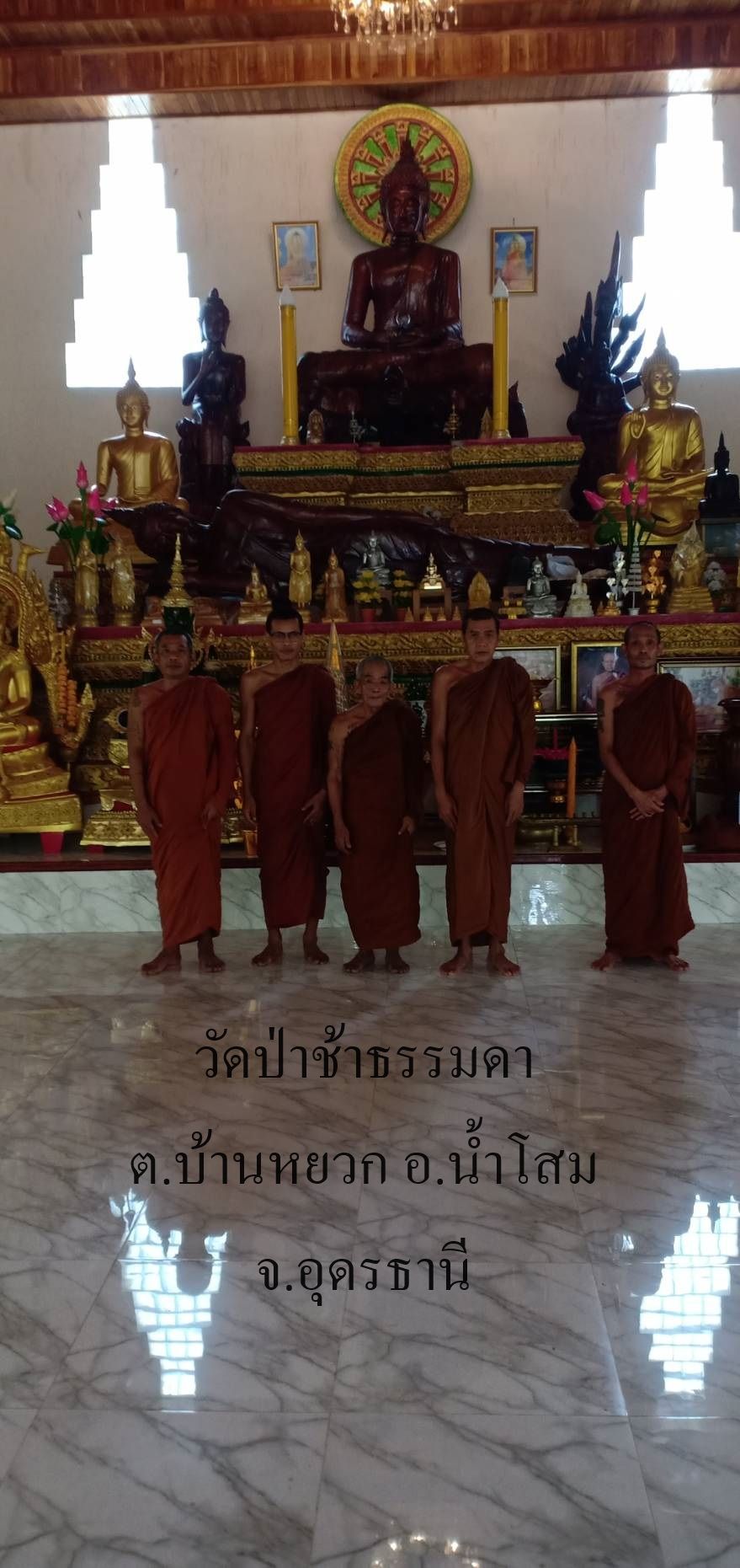 วัดป่าช้าธรรมดา