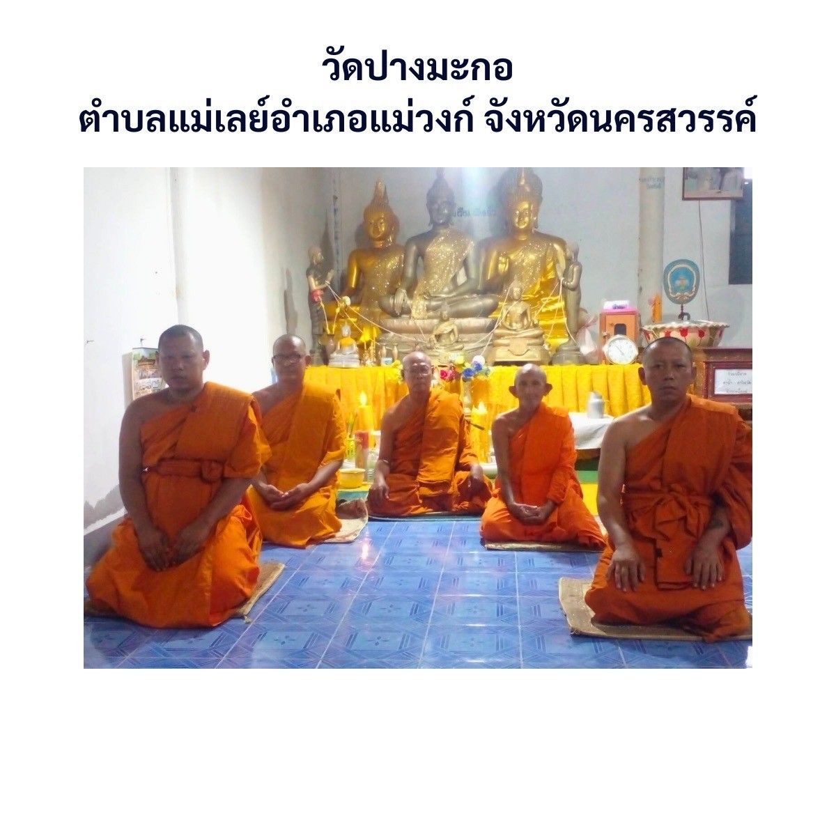 วัดปางมะกอ