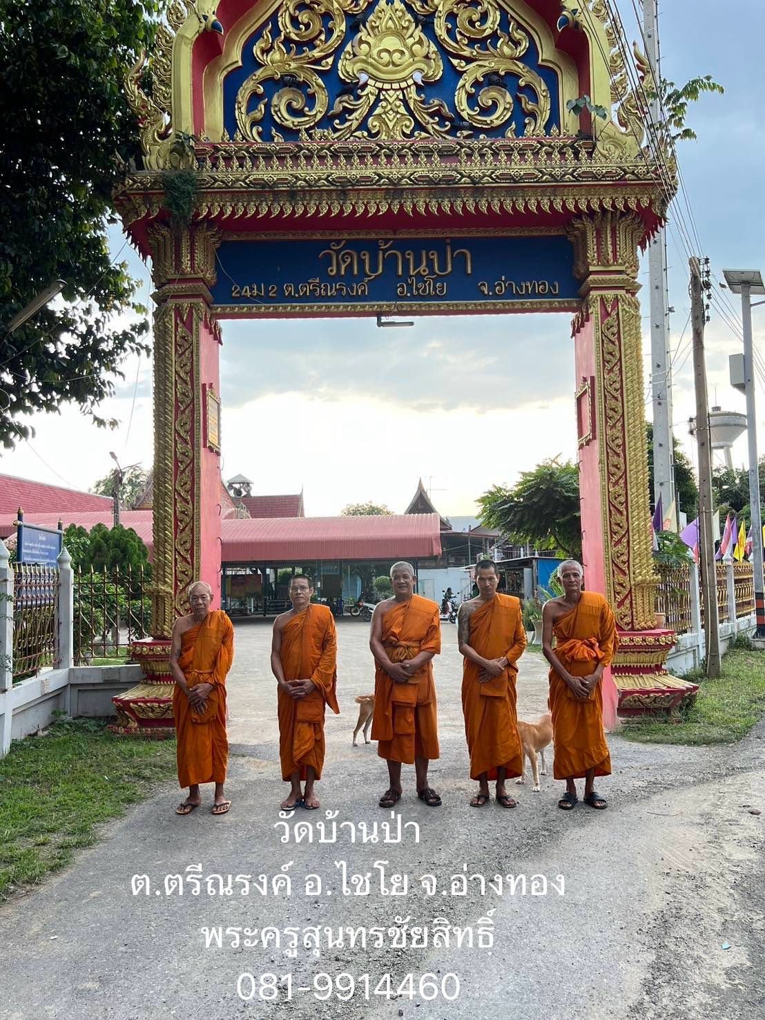วัดบ้านป่า