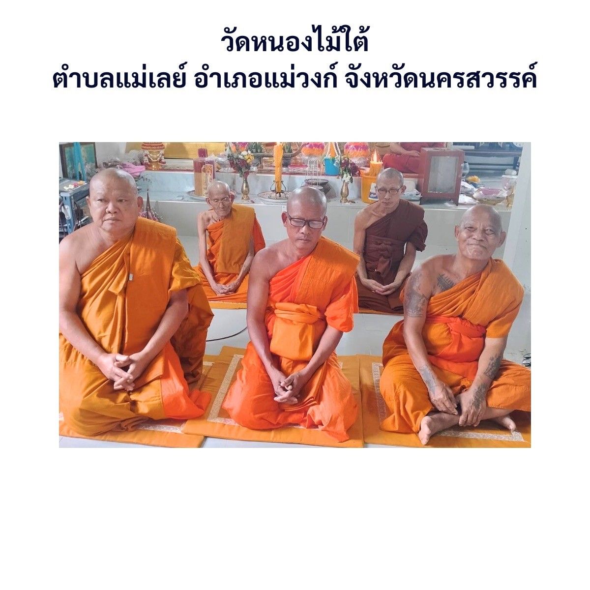 วัดหนองไม้ใต้