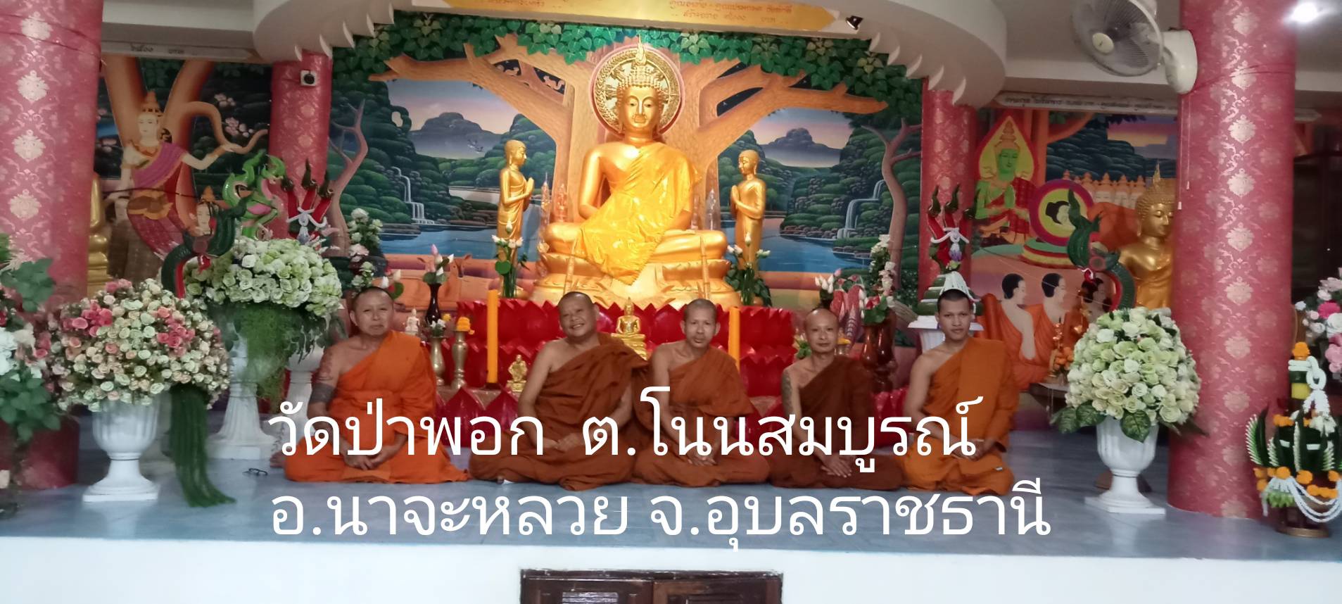 วัดป่าพอก