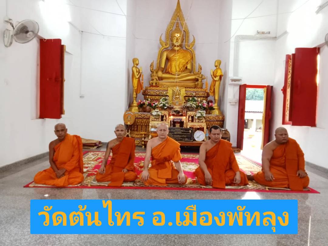 วัดต้นไทร