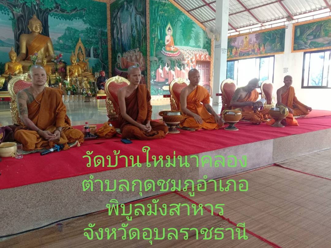วัดใหม่นาคลอง