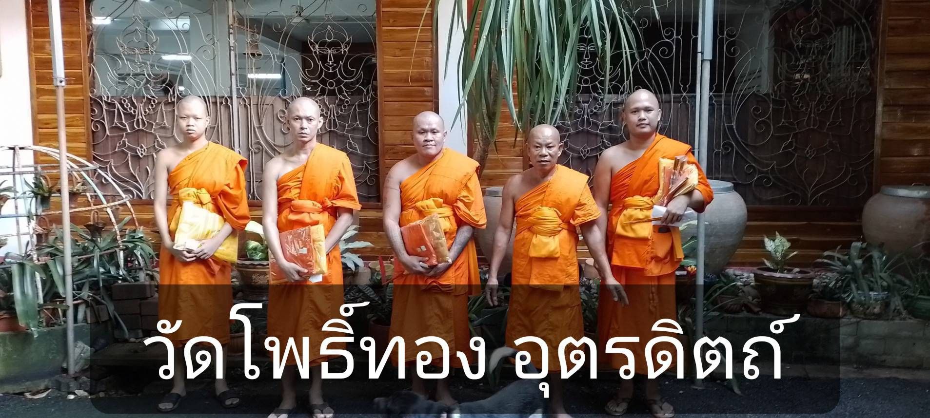วัดโพธิ์ทอง