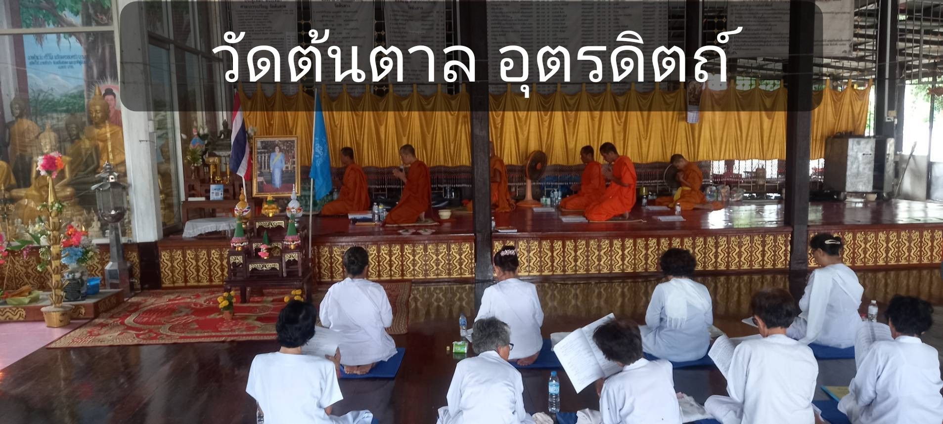 วัดต้นตาล