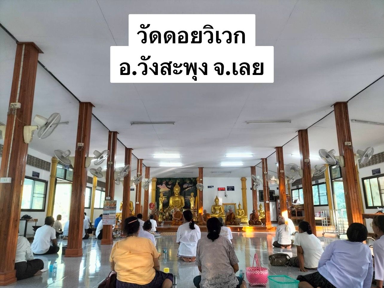 วัดดอยวิเวก
