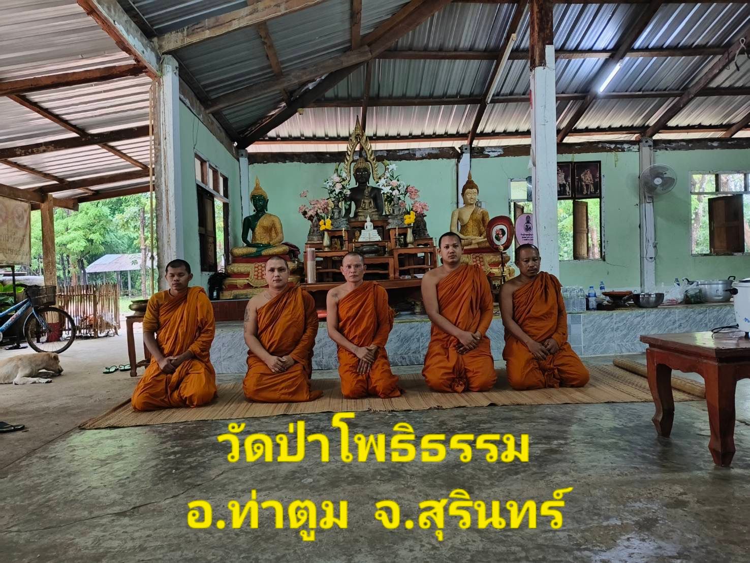 วัดป่าโพธิธรรม