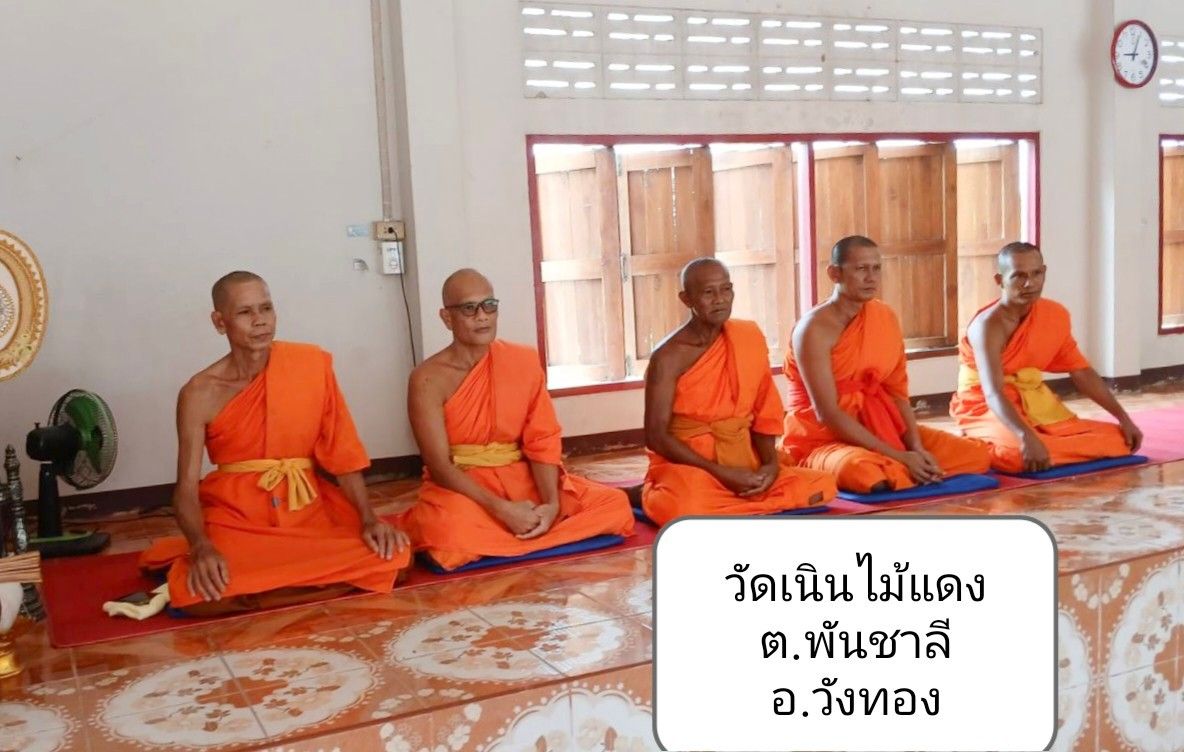 วัดเนินไม้แดง
