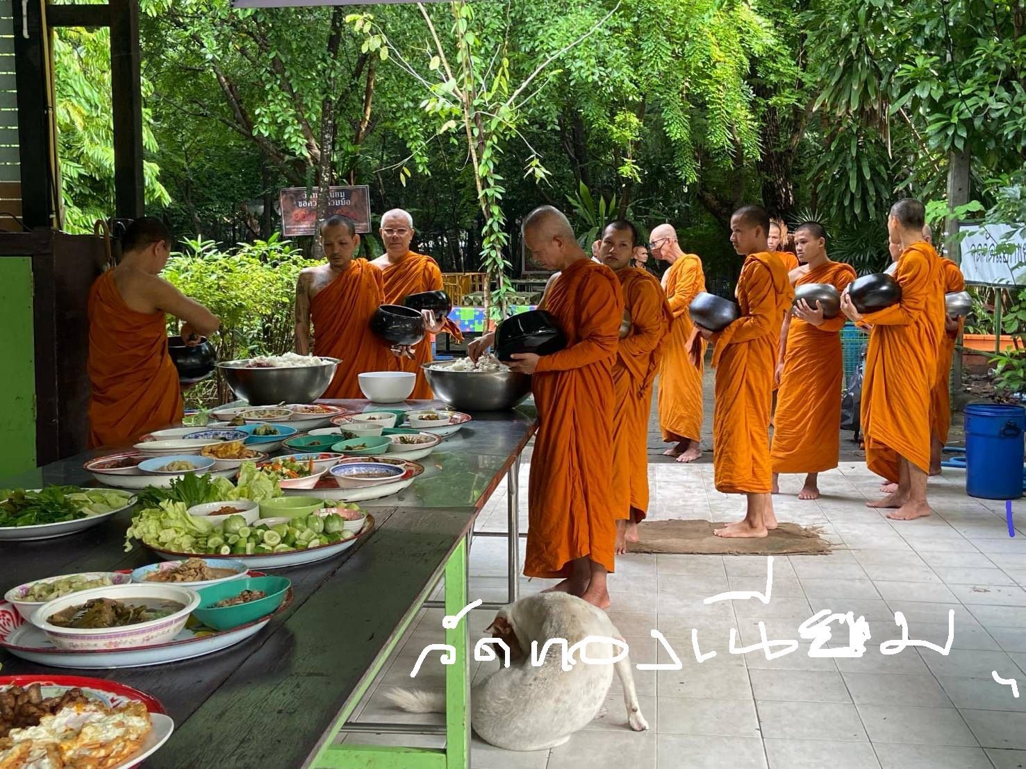 วัดทองเนียม