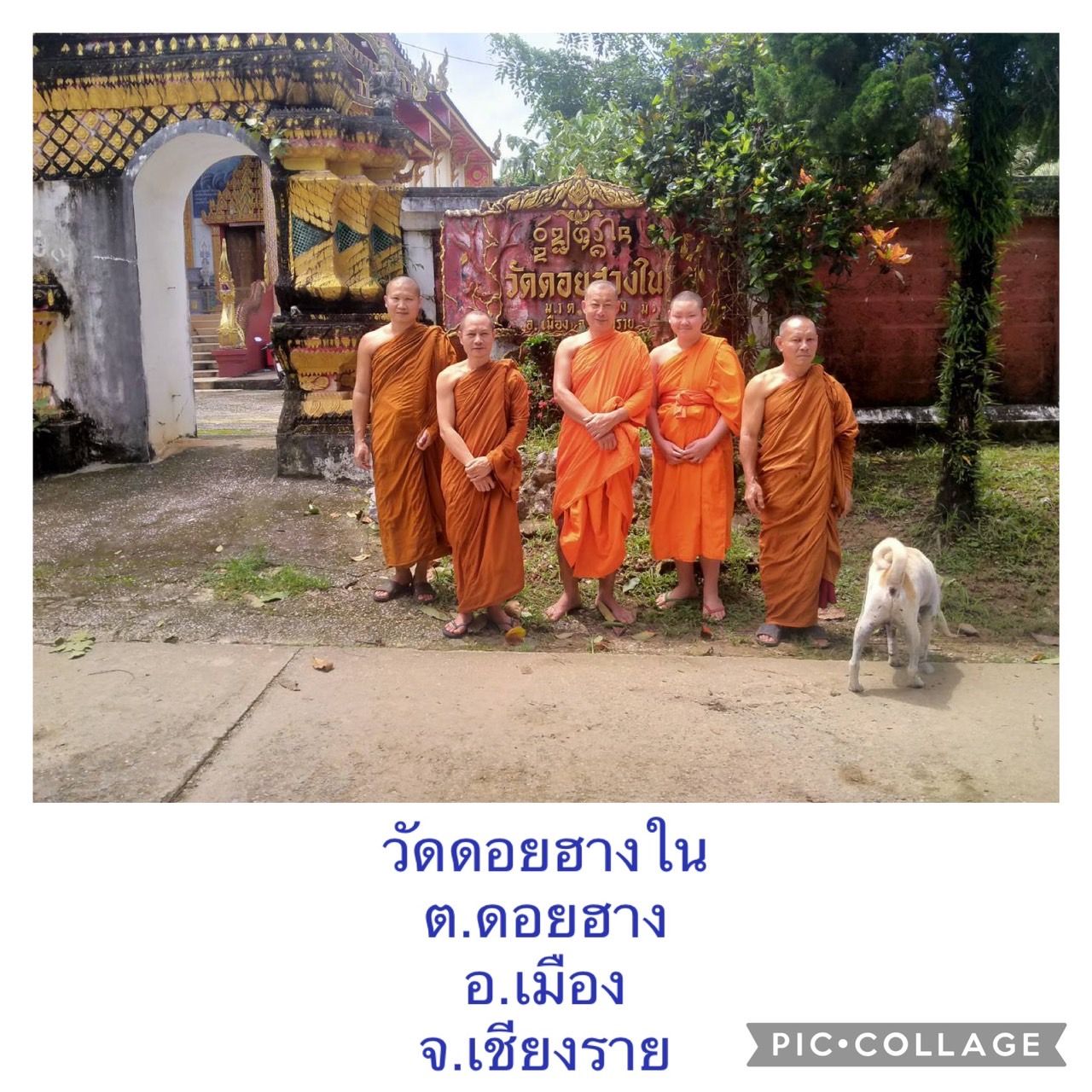 วัดดอยฮางใน