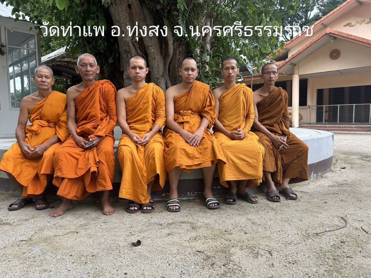 วัดท่าแพ