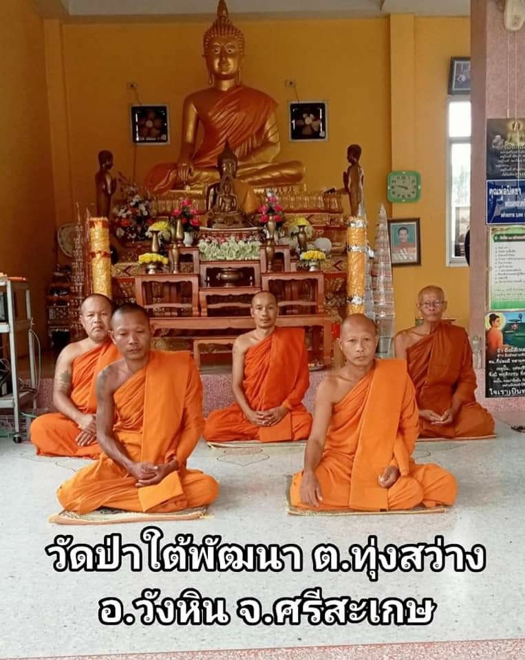 วัดป่าใต้พัฒนา