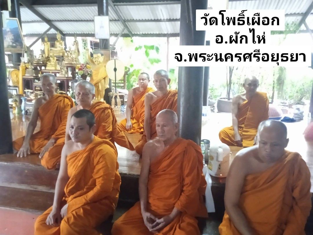 วัดโพธิ์เผือก
