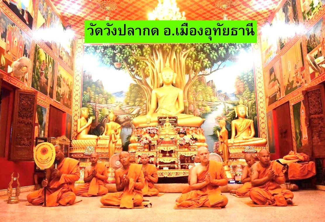 วัดวังปลากด