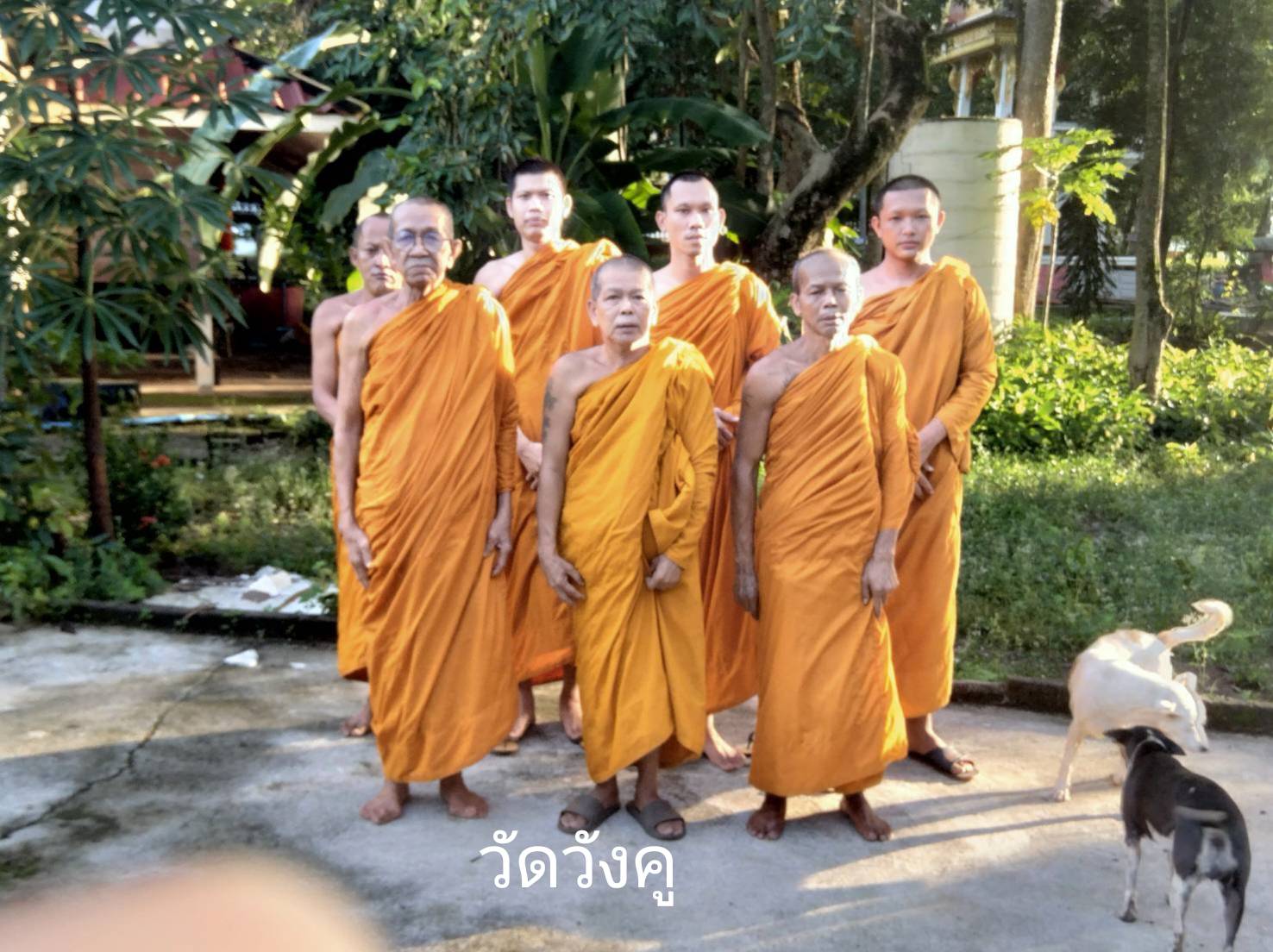 วัดวังคู