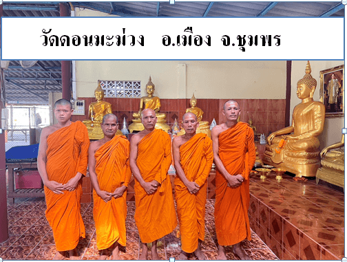 วัดดอนมะม่วง
