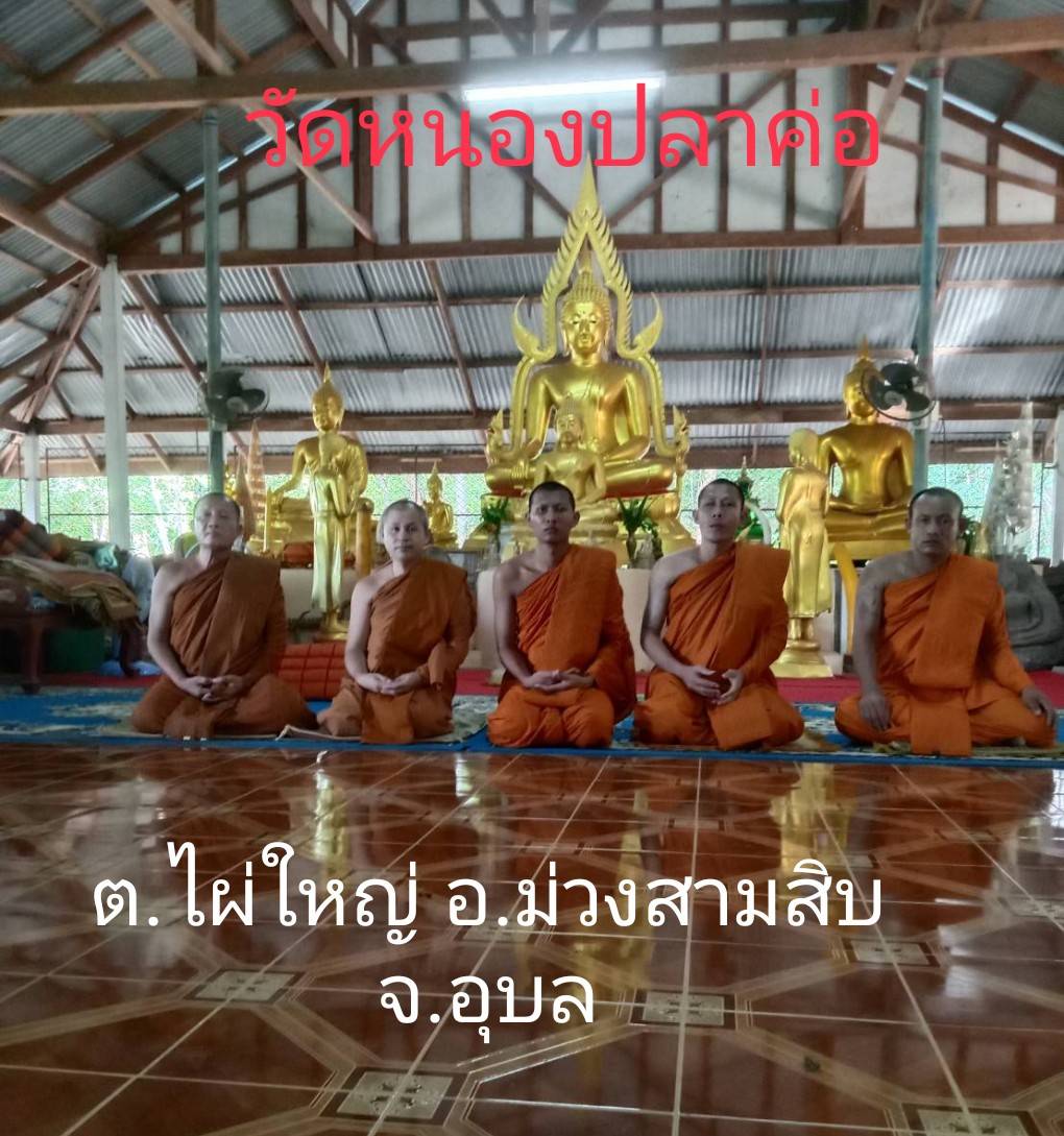 วัดหนองปลาค่อ