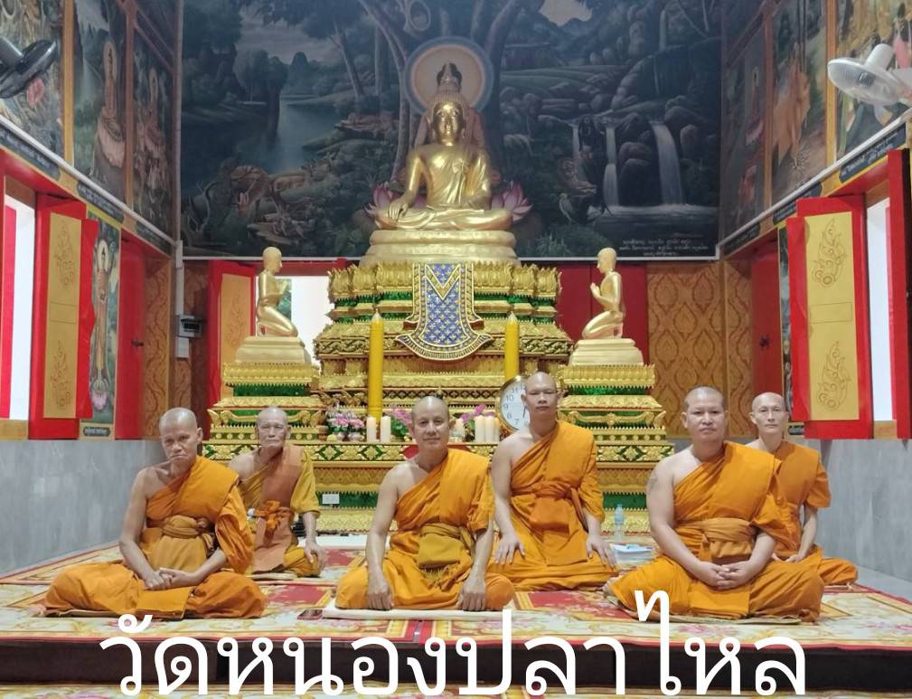 วัดหนองปลาไหล