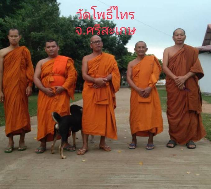 วัดโพธิ์ไทร