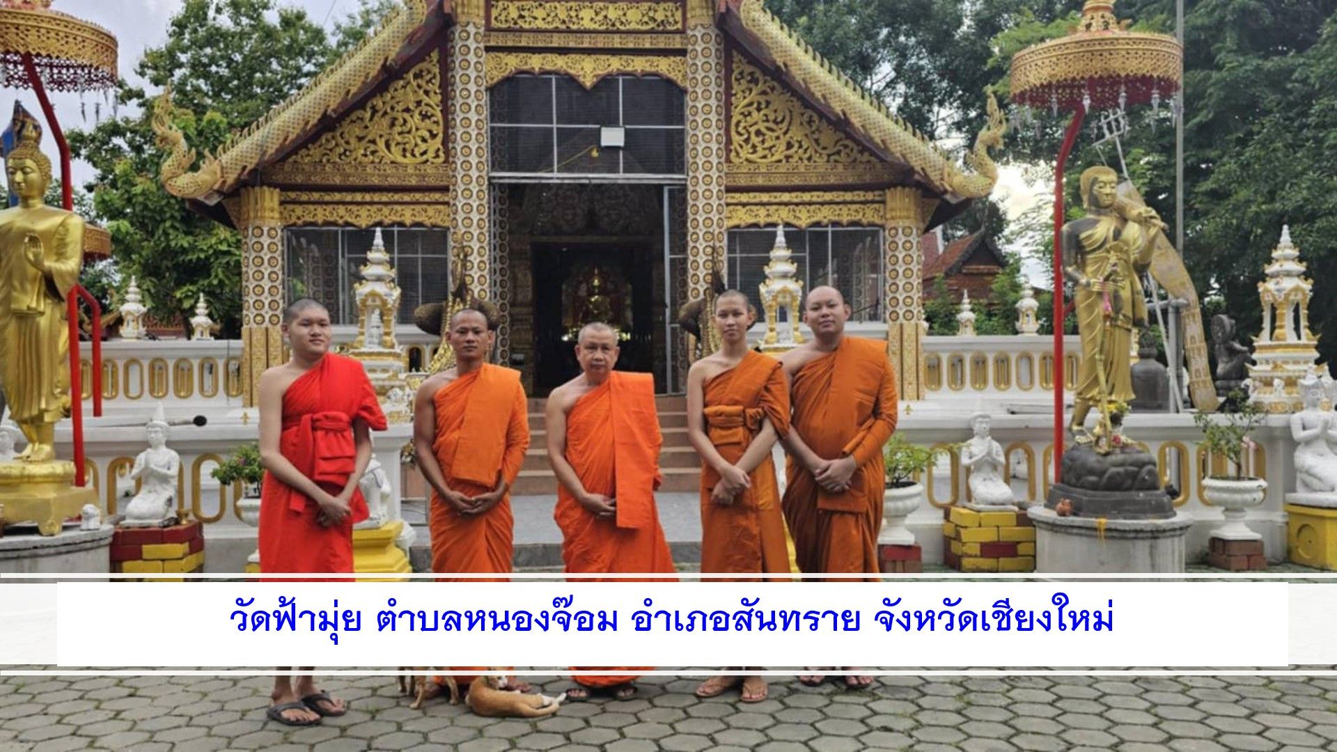 วัดฟ้ามุ่ย
