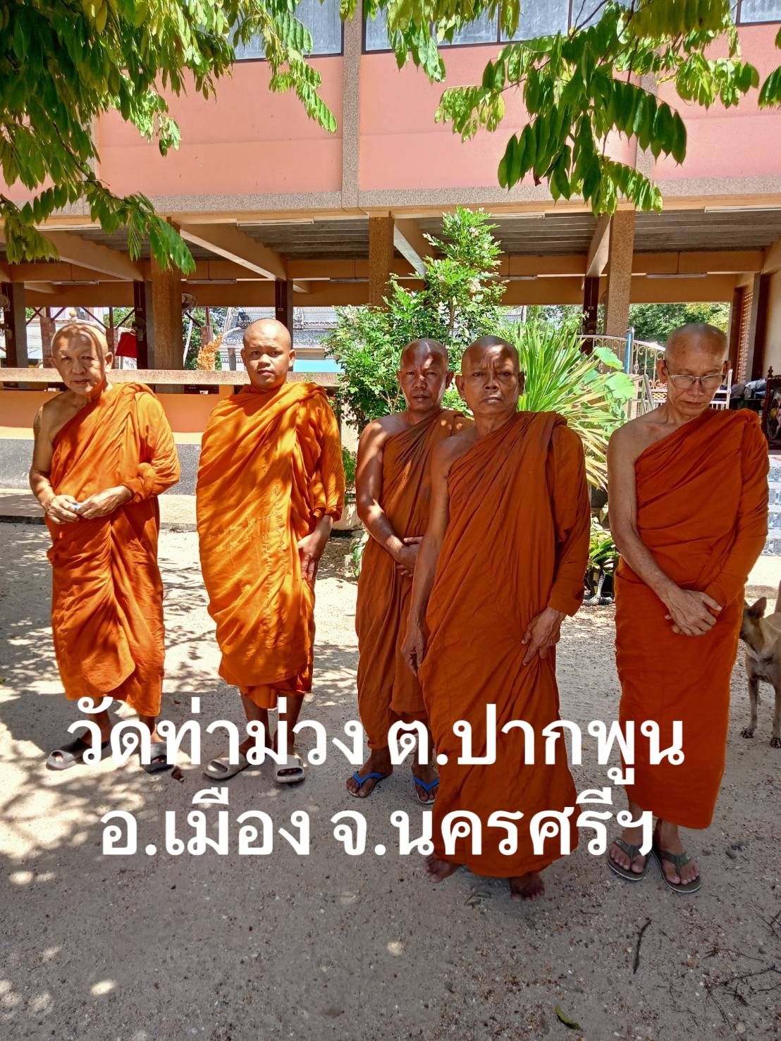 วัดท่าม่วง