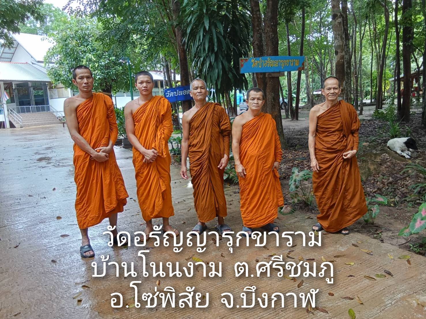 วัดอรัญญารุกขาราม