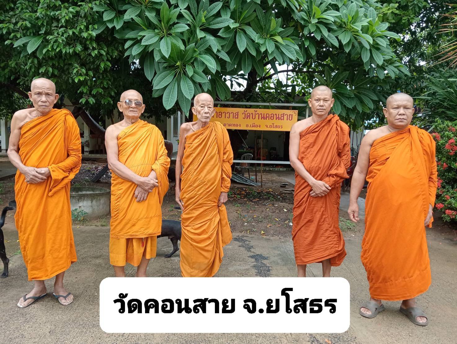วัดคอนสาย