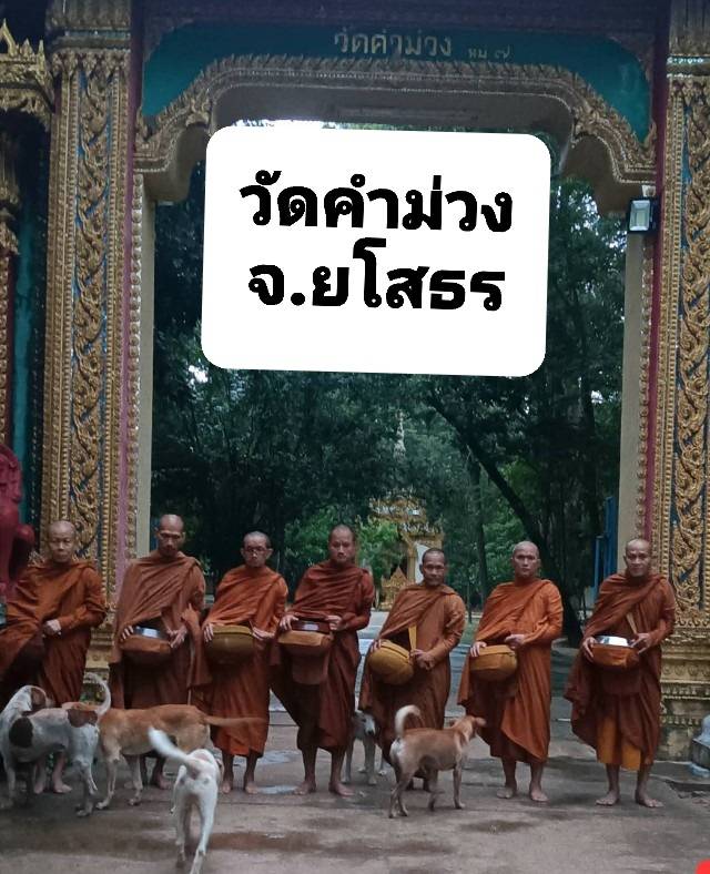 วัดคำม่วง