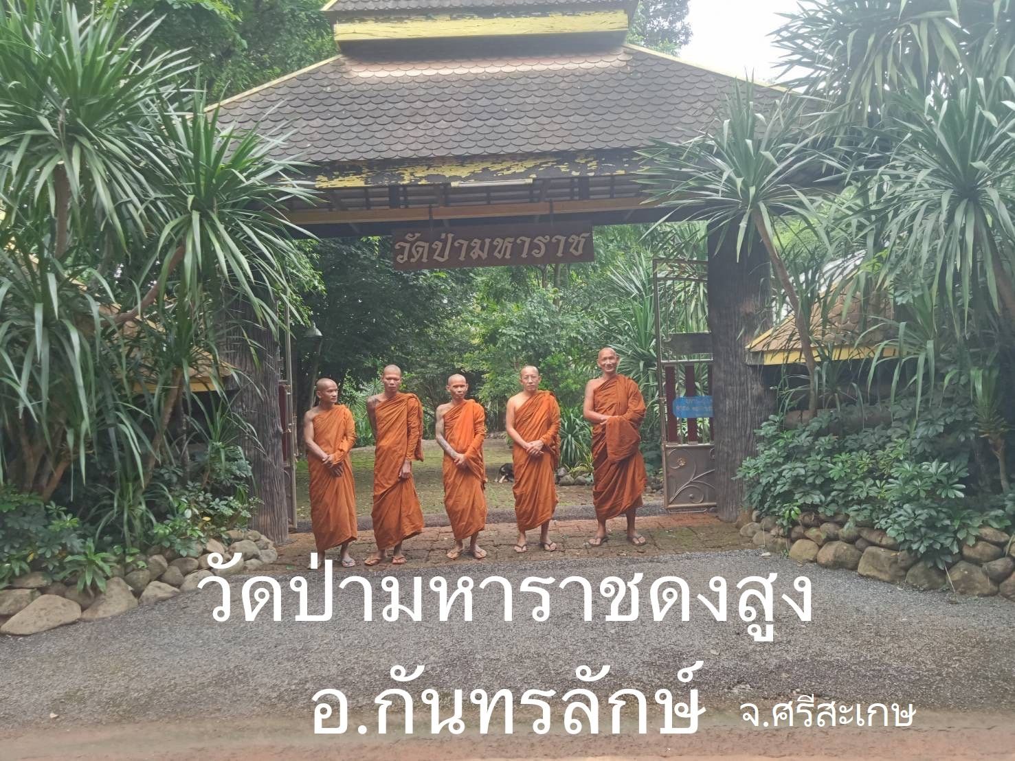 วัดป่ามหาราช