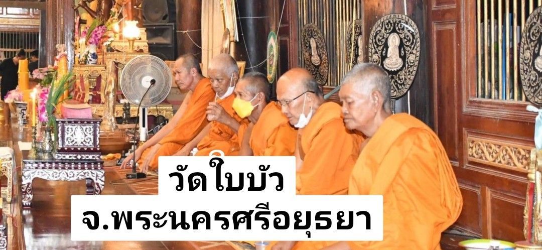 วัดใบบัว