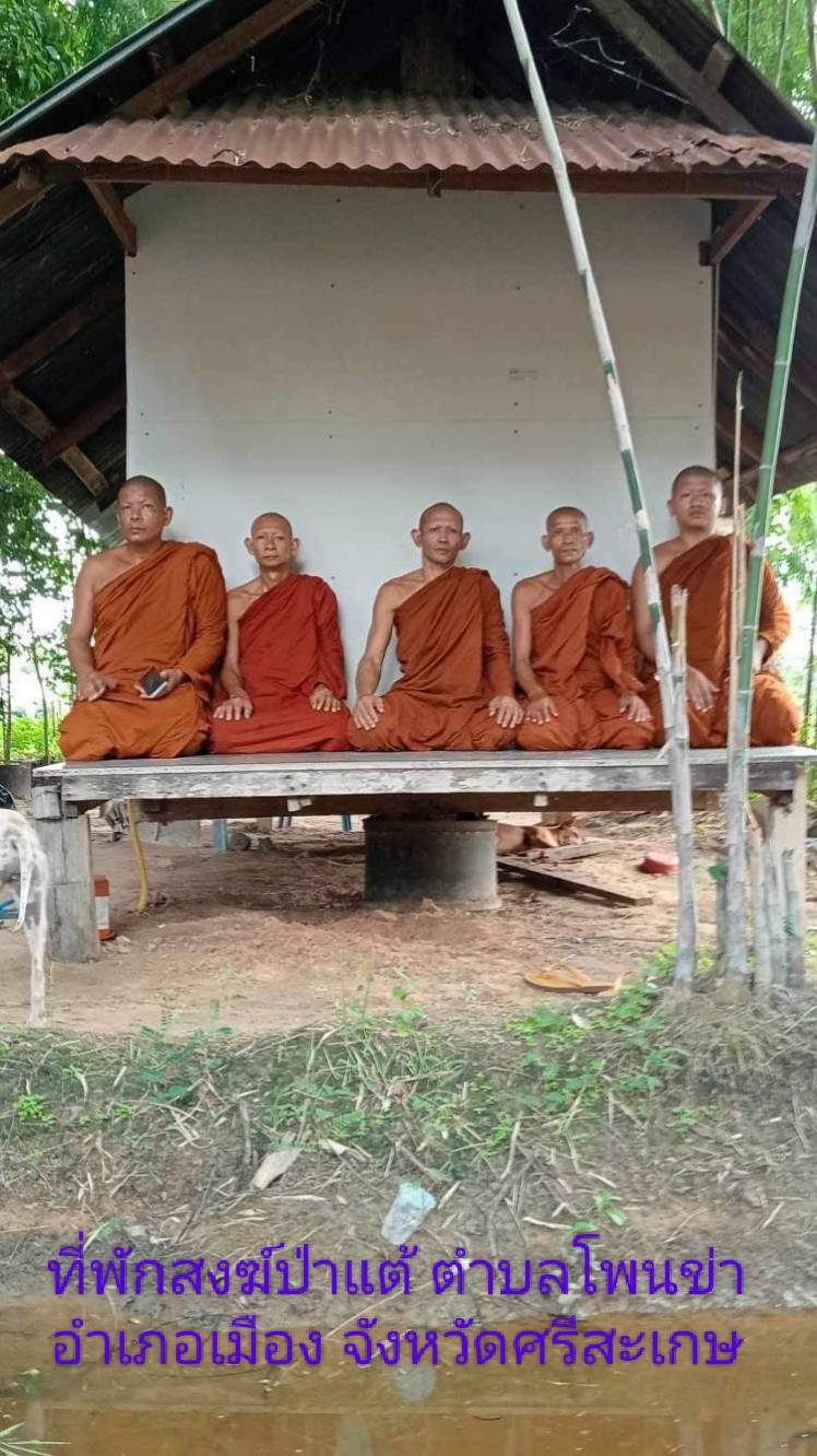 วัดป่าแต้