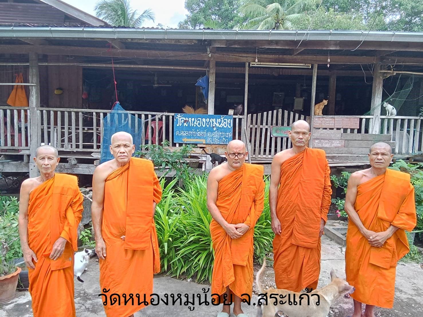 วัดหนองหมูน้อย