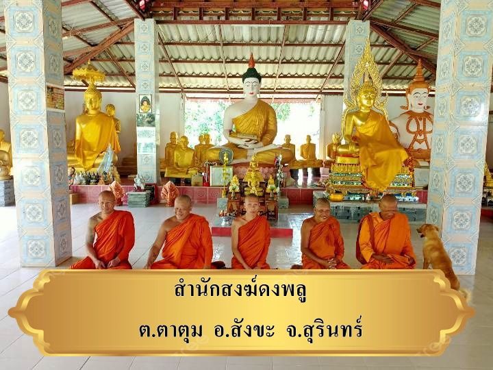 วัดป่าดงพลู